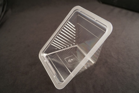 Sandwich wedge tray - Double wedge 5662 Clear