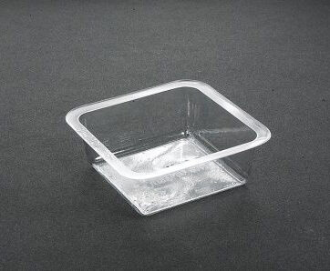 Large Portion Tray 5015