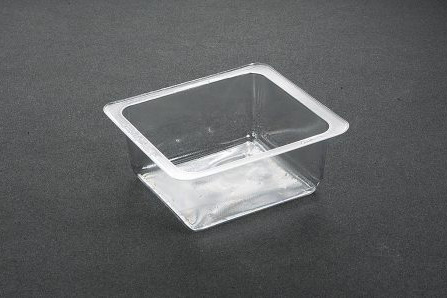 Large Portion Tray 5019